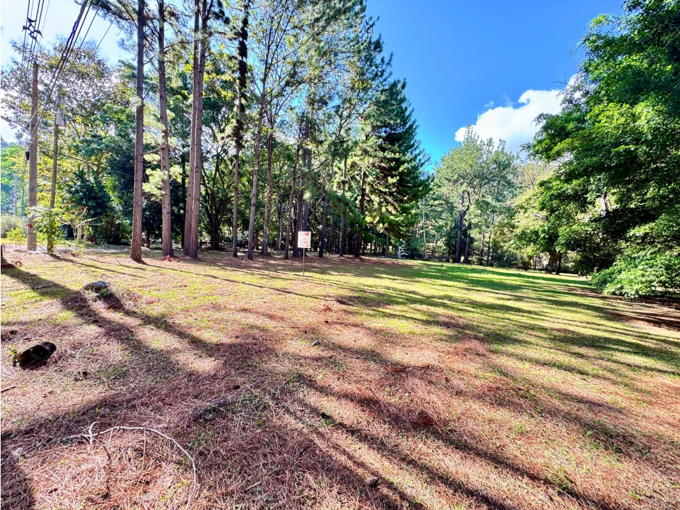 VENTA DE TERRENO EN ALTOS DEL MARIA 1604M2 CV — foto 6