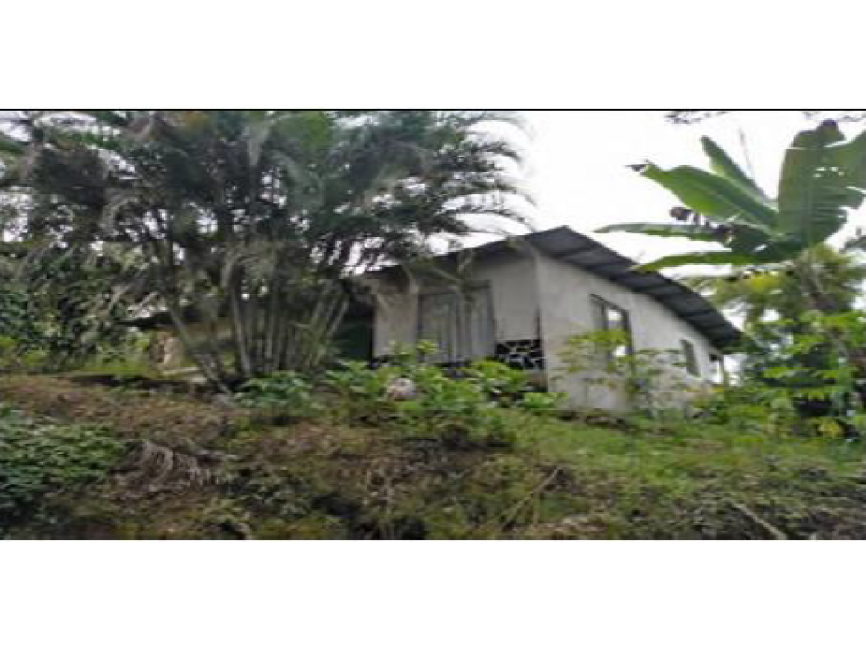 TERRENO DE 2.752M2 CON CASA EN CAÑAS GORDAS CHIRIQUI