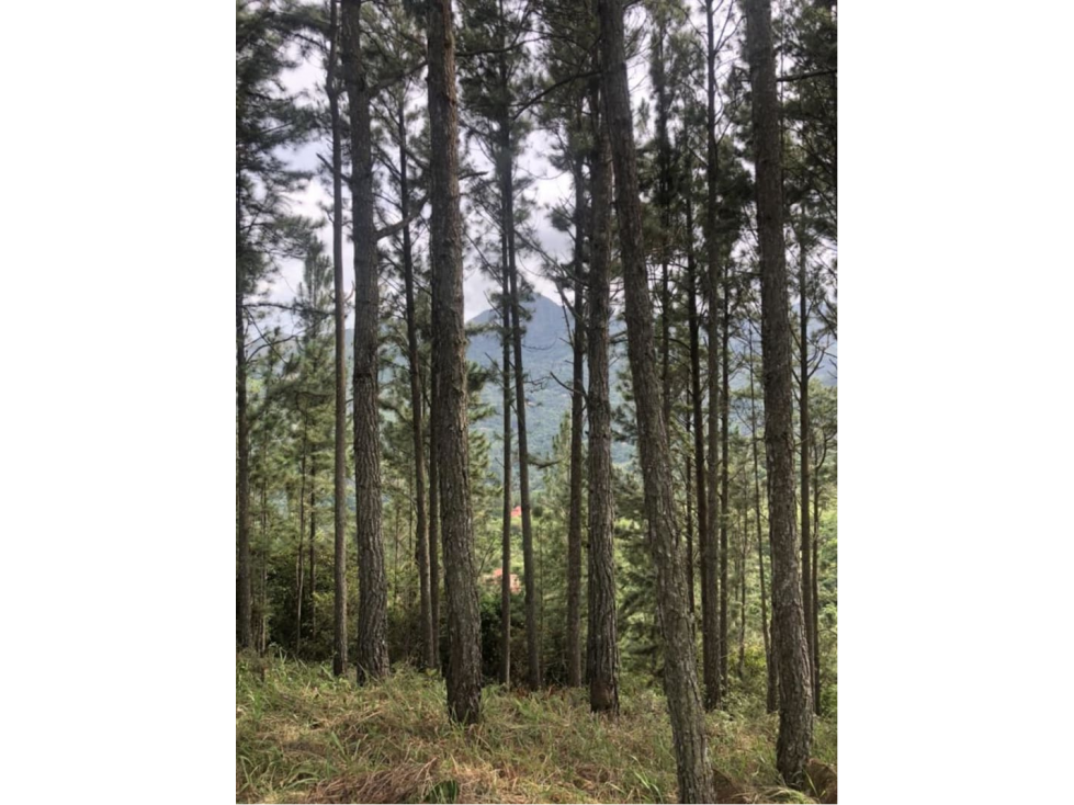 SE VENDE TERRENO EN ALTOS DEL MARIA MIRADOR DEL PACIFICO - 2
