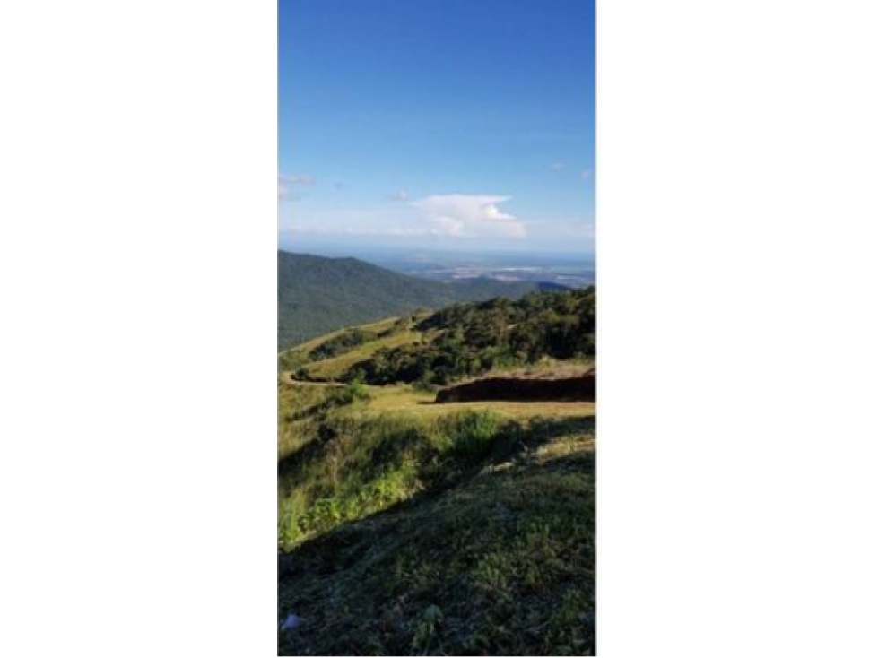 TERRERNO 10 HECTAREAS (5XM2), EL LAGO DE CERO AZUL