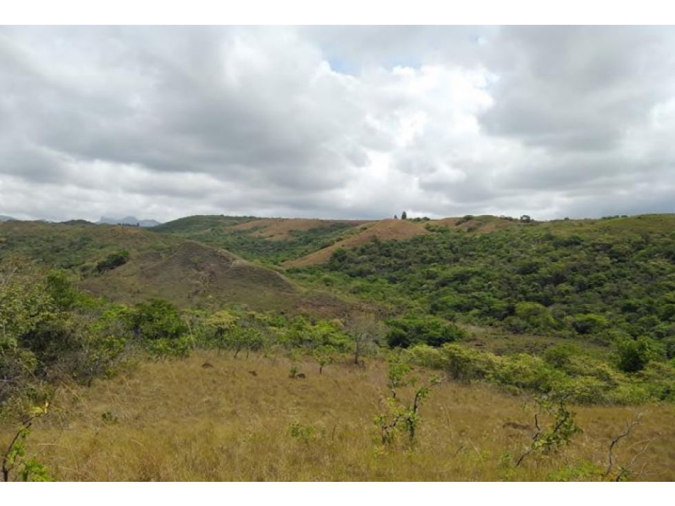 FINCA EN VENTA 313M2 PANAMA OESTE