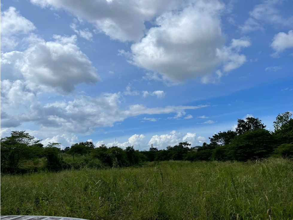 VENTA TERRENO EN VIA PRINCIPAL AV DOMINGO DIAZ 6.755 MT2 CV - 4