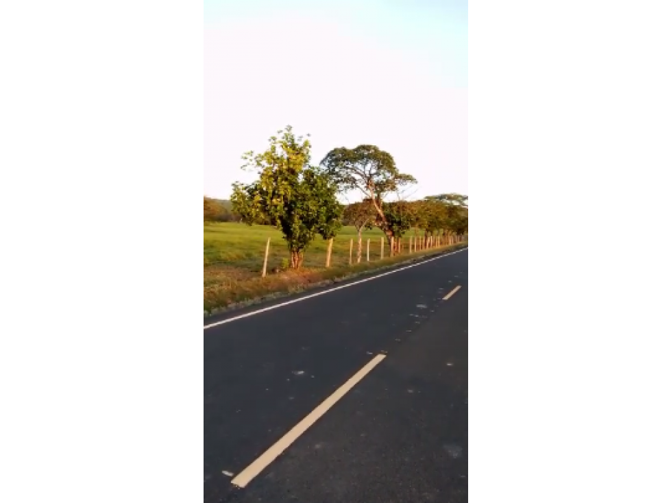 VENDO 800 HECTAREAS EN SONÁ, PRECIO NEGOCIABLE satiago - 1