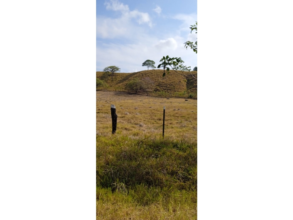 VENDO 1080 HECTAREAS EN TONOSÍ CON VISTA AL MAR - 2