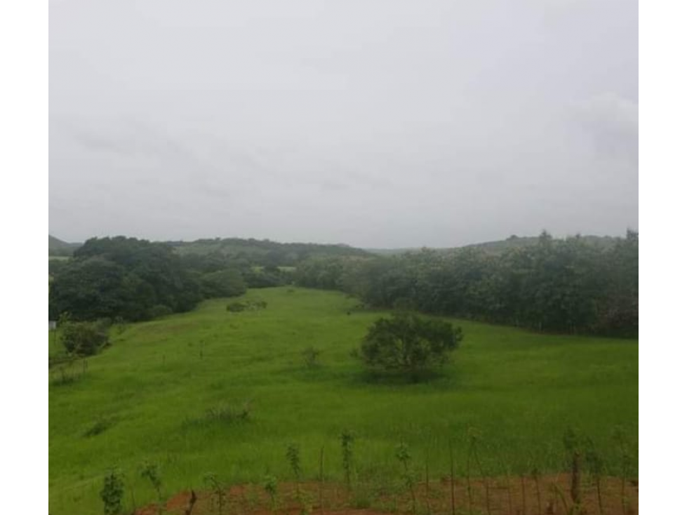 VENDO 1110 HECTAREAS EN VERAGUAS, OPORTUNIDAD ÚNICA - 1