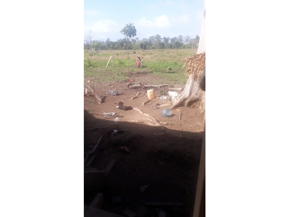 VENDO 2,500 HECTAREAS EN YAVIZA, TIERRA PRODUCTIVA Y ACCESIBLE - 6