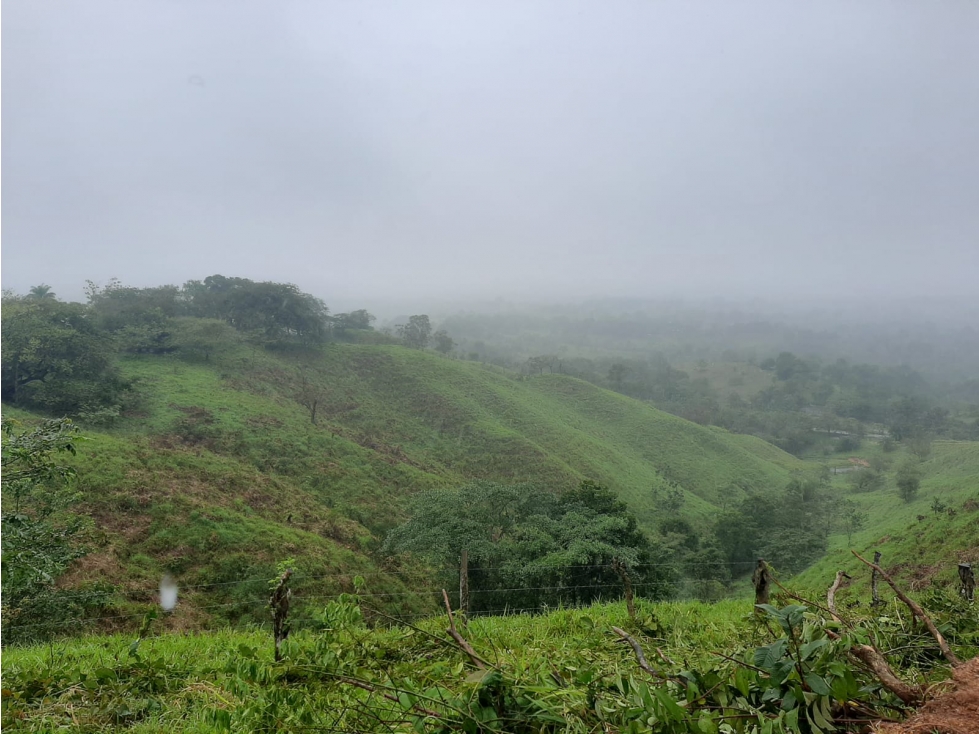 VENTA DE LOTE EN VERAGUAS - MARIATO - 2