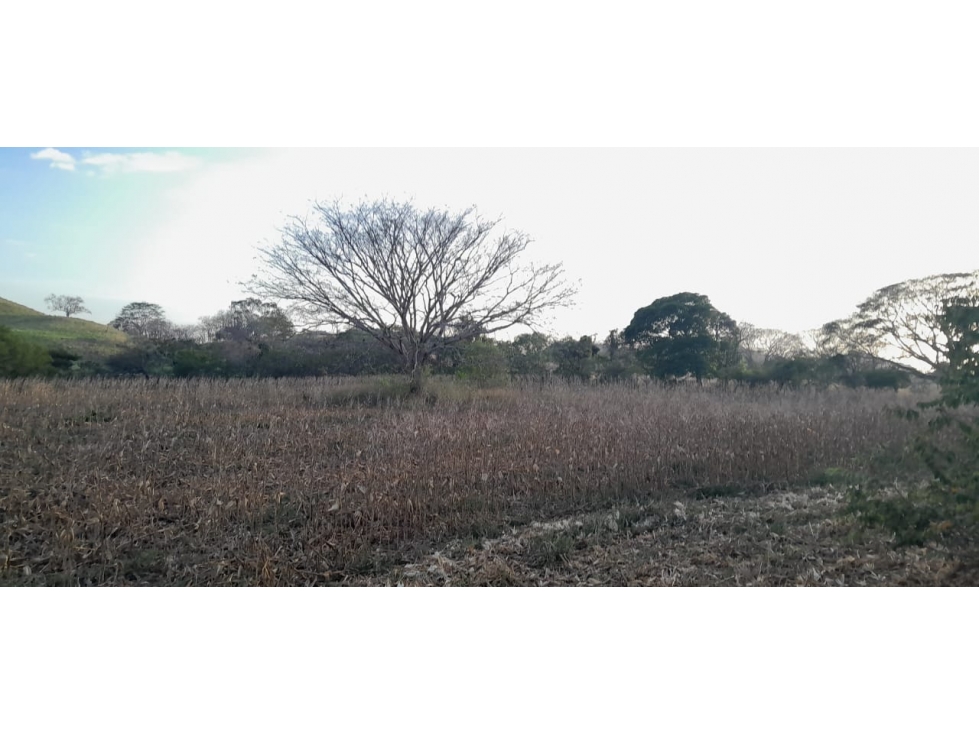 VENTA DE TERRENO EN HERRERA - 19 HEC - 3