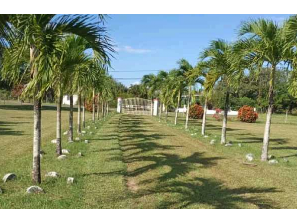 VENTA DE FINCA EN RÍO HATO, ANTÓN ÚNICA OPORTUNIDAD - 1
