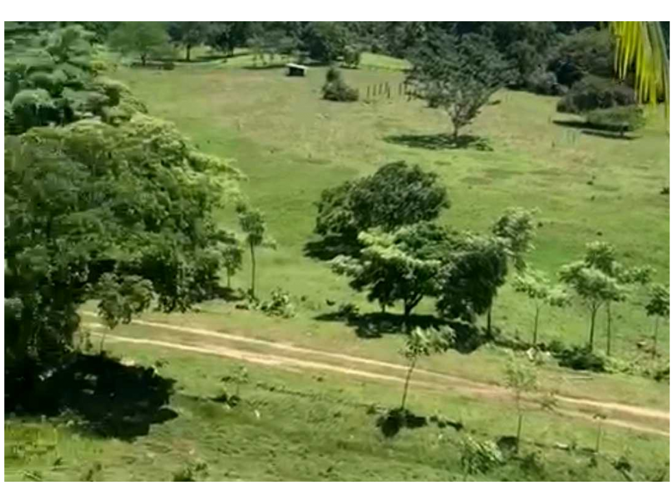 VENTA DE FINCA GANADERA EN COLÓN MARIA CHIQUITA, HERMOSA Y OPERATIVA - 1