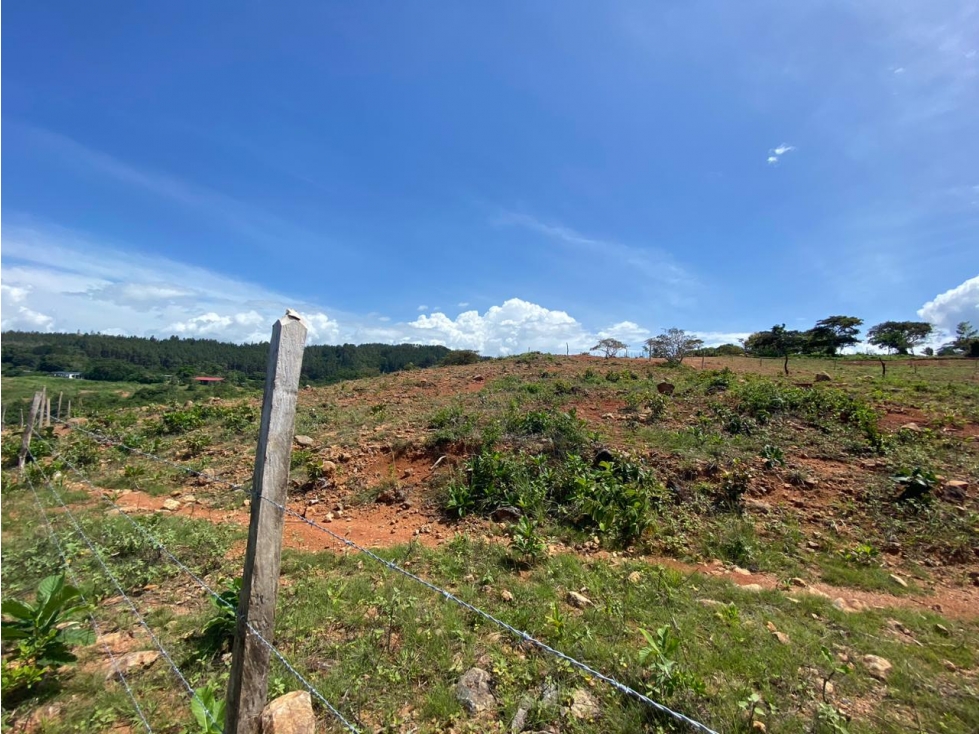 VENTA LOTE EN CHAME SORA 2700 MTS2 — foto 2