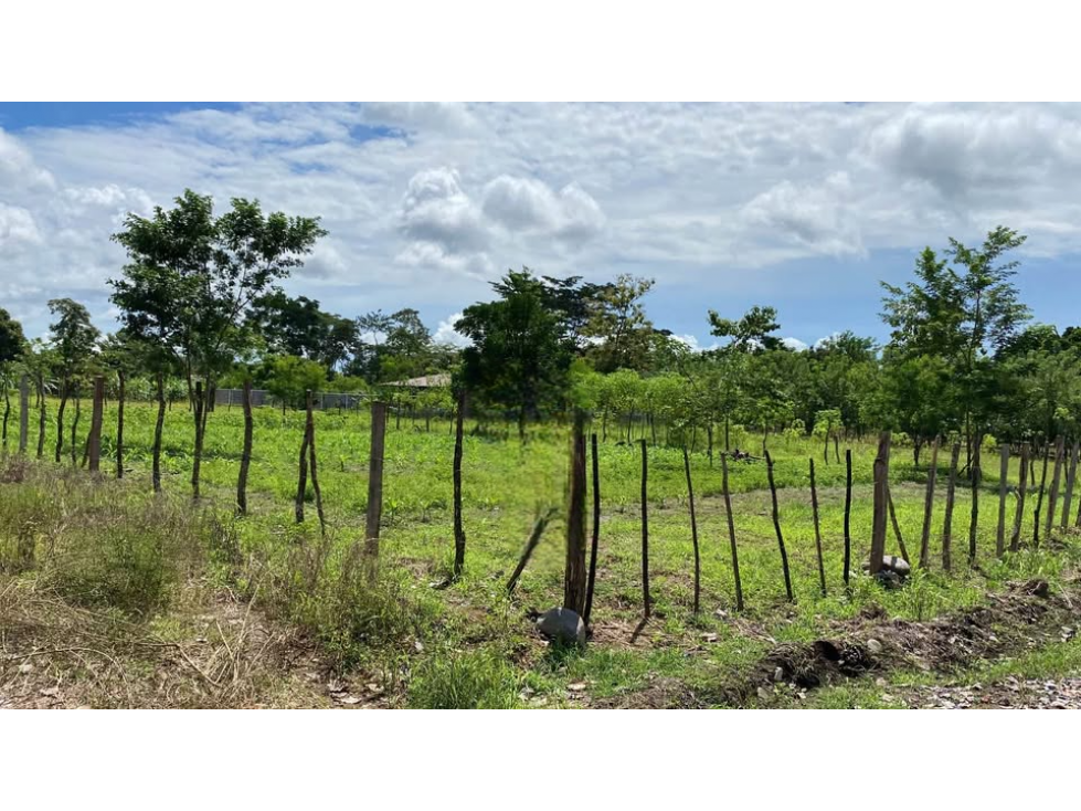 Vendo Lote Titulado Boqueron orilla de carretera - 1