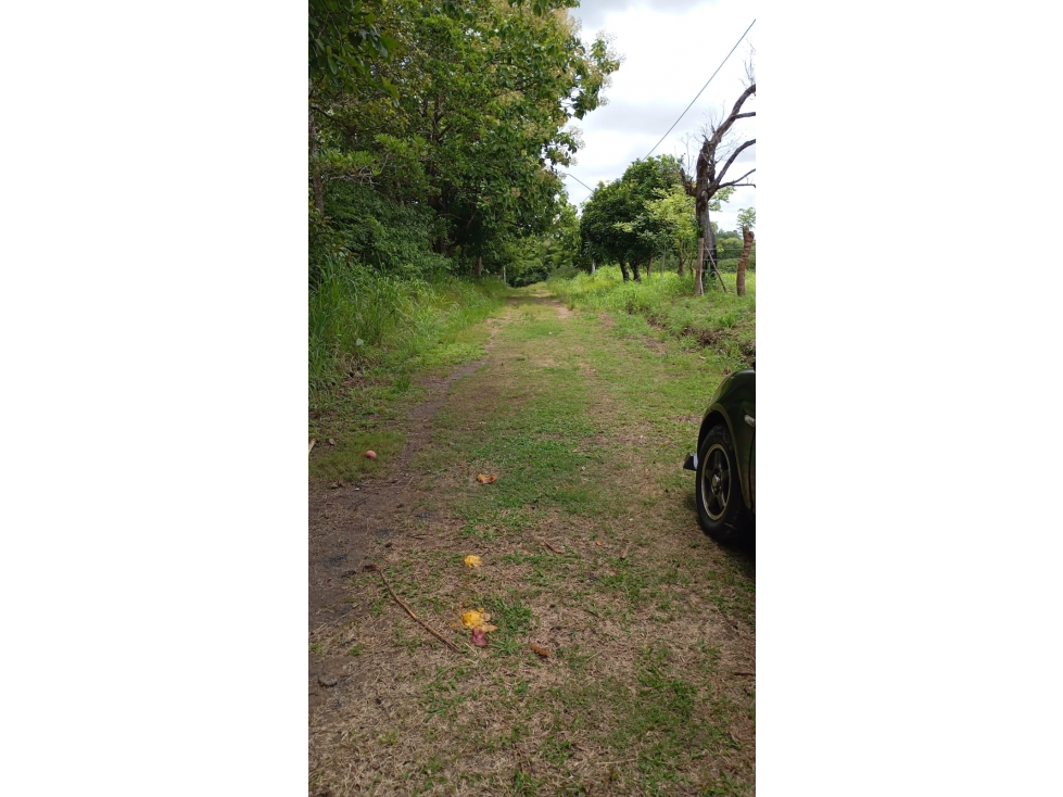 VENTA DE TERRENO EN ANTON 1000 MTS2 - 1