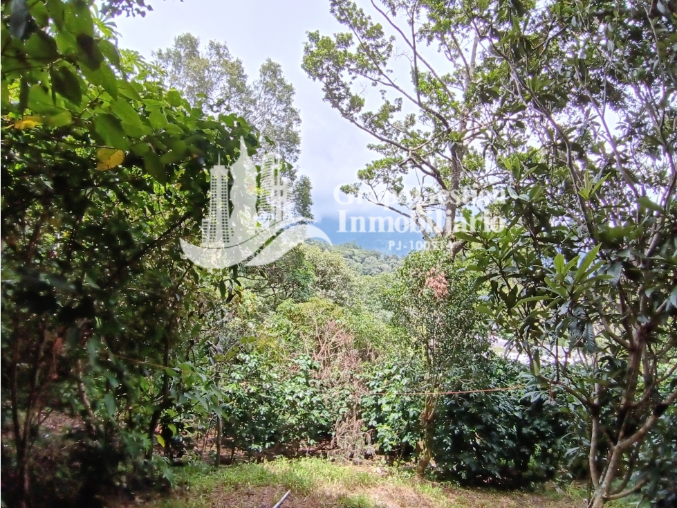 Finca en venta Palmira, Boquete #6 Hermosa vista - 2