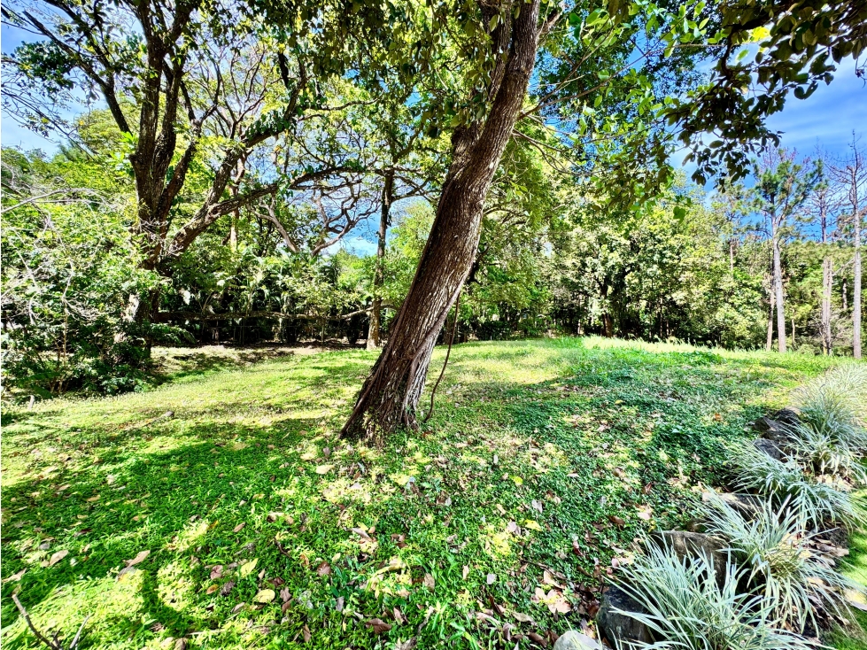 VENTA LOTE ALTOS DEL MARIA AMPLIO 1,813.19 m² CV
