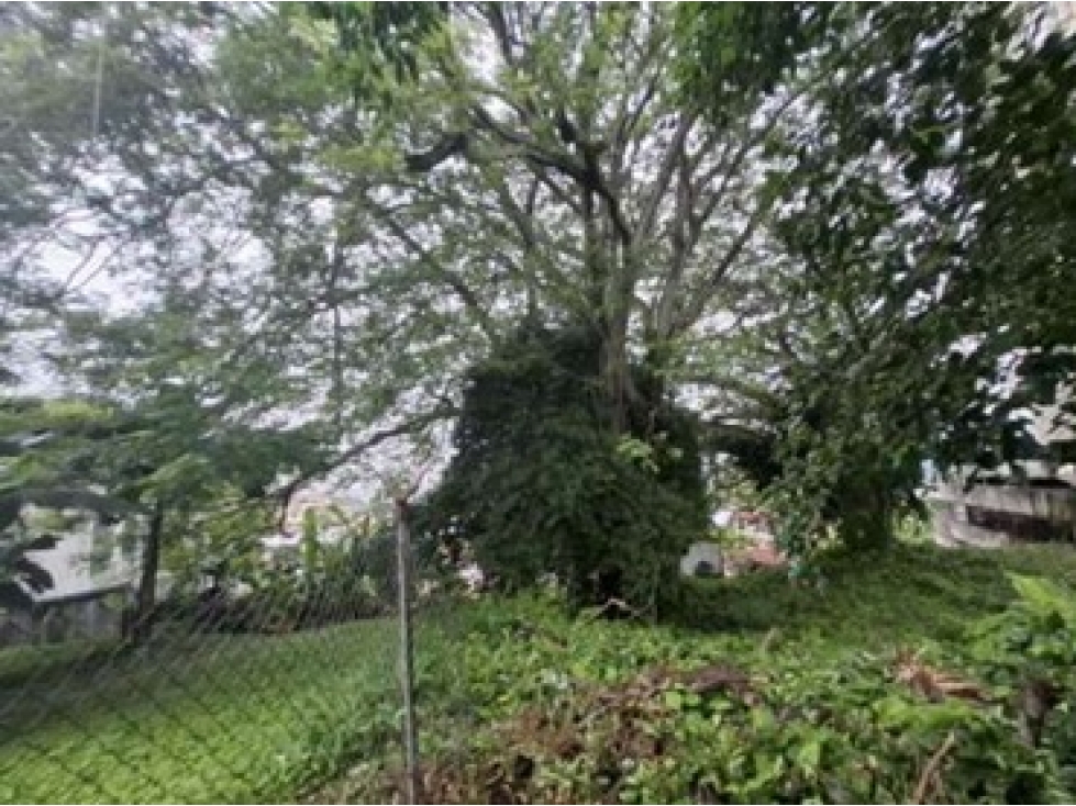 VENTA DE LOTE REBAJADO EN HATO PINTADO Z1R3 MYP — foto 5
