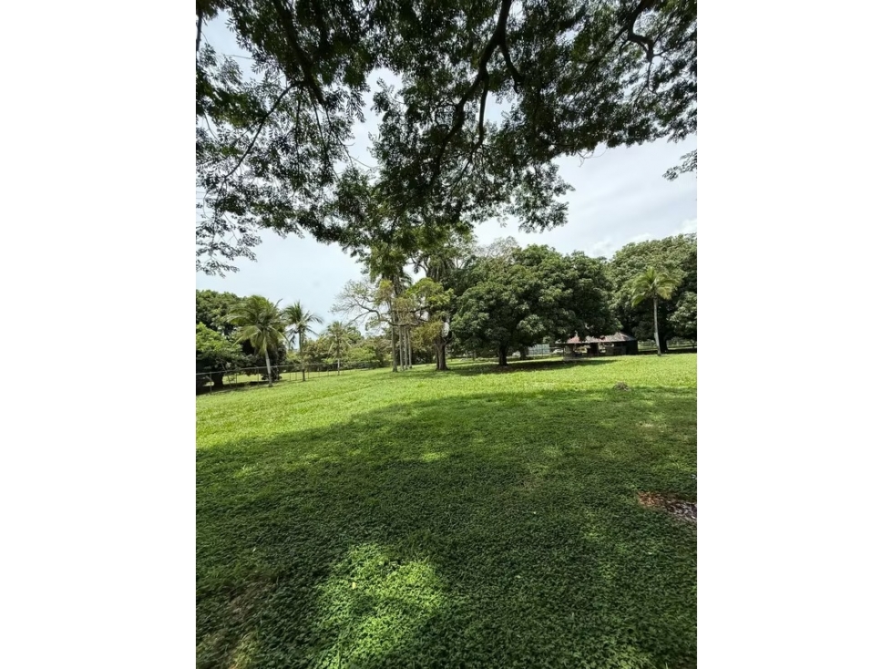 VENTA FINCA NUEVA GORGONA 15816M2 CERCA DE LA PLAYA MLD — foto 4