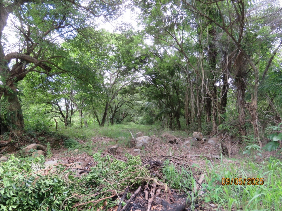 Vendo Finca en David, Chiriqui a un minuto del Federal Mall — foto 3