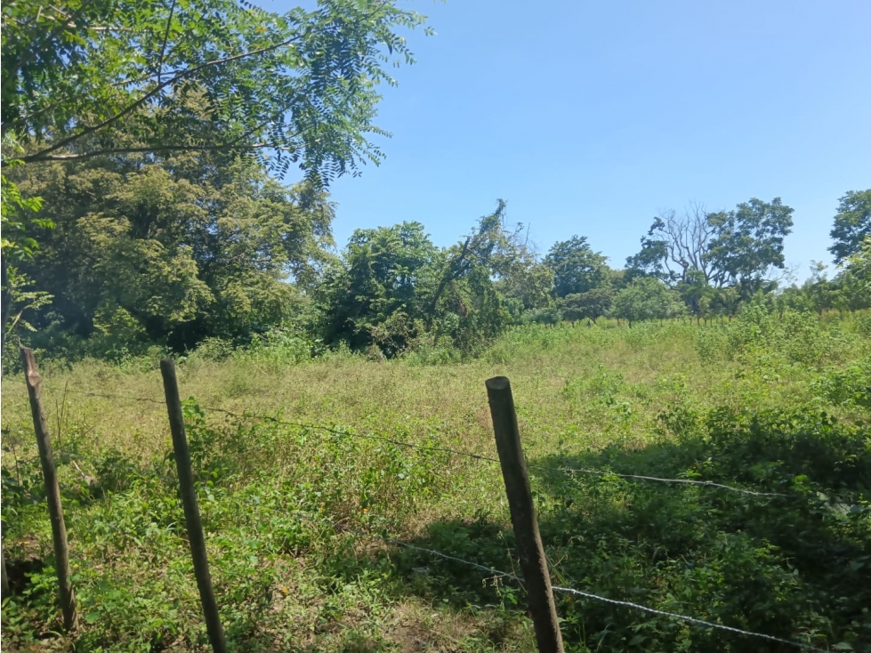 SE VENDE LOTE EN ALANJE, 137,000.00, CHIRIQUI, ZONA CON GRAN POTENCIAL - 1