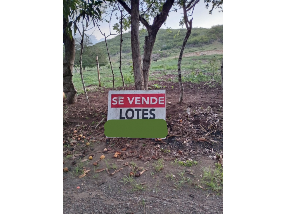 SE VENDE LOTE DE TERRENO EN EL PEDREGOSO DE PESÉ - 1