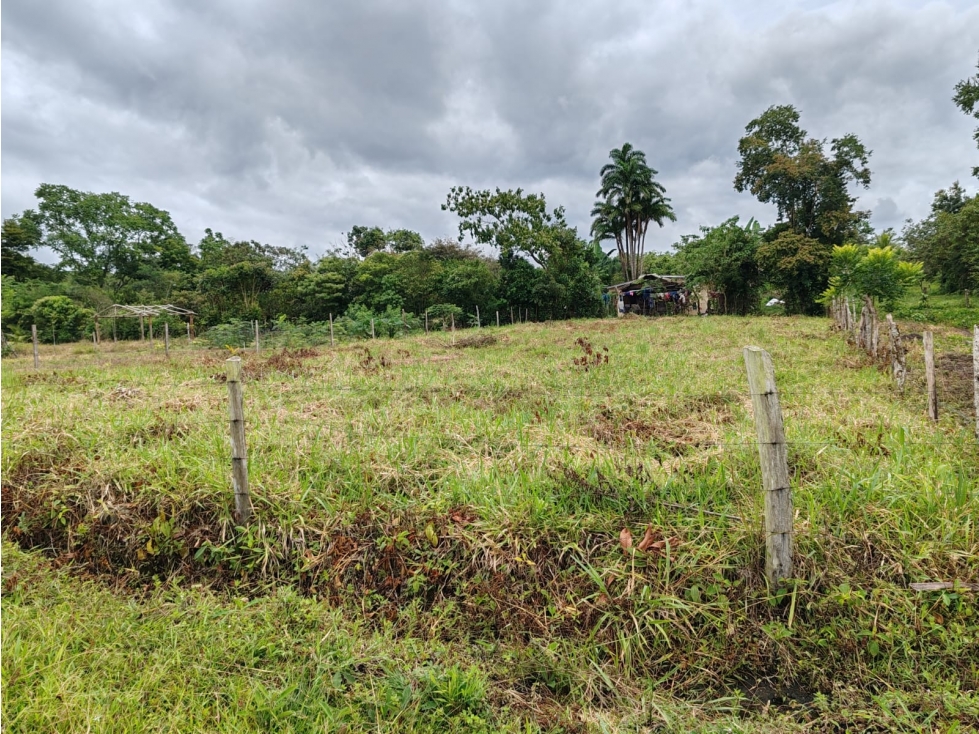 VENTA DE LOTE EN AGUACATE DISTRITO DE BOQUERON CLIMA AGRADABLE - 1