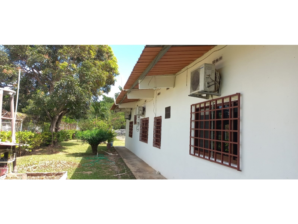 ALQUILER CASA PENONOME 900 M2 TERRENO CV
