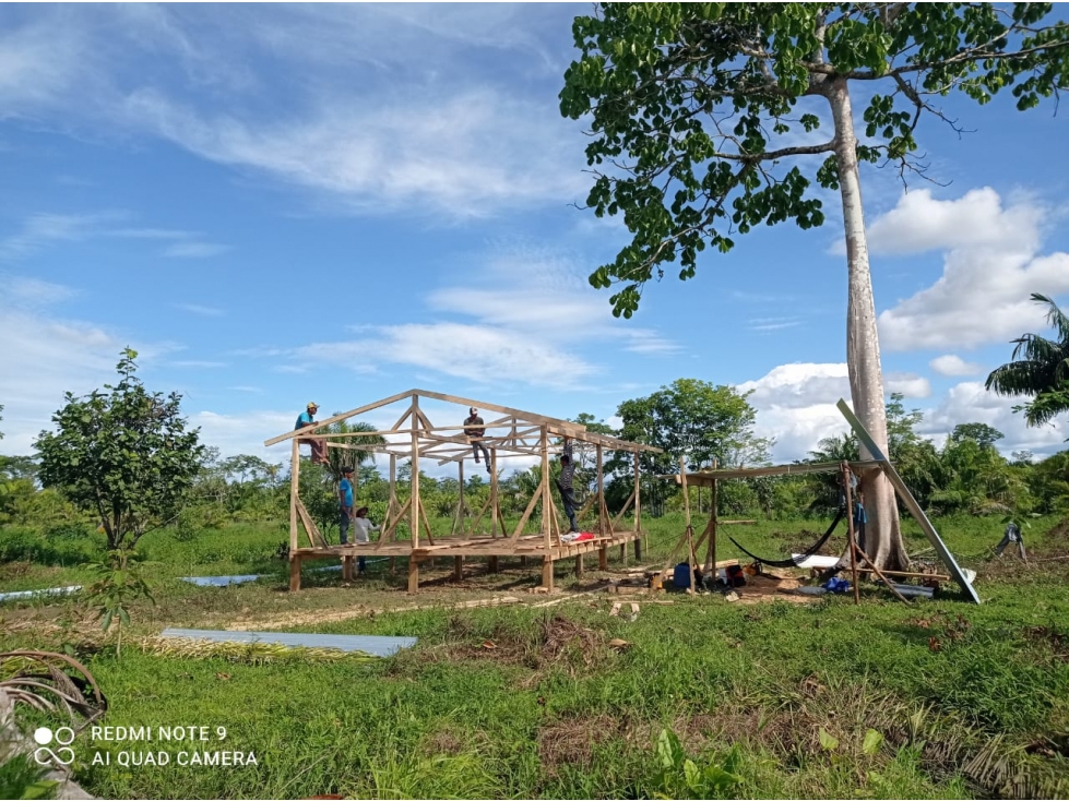 VENDO 2,500 HECTAREAS EN YAVIZA, TIERRA PRODUCTIVA Y ACCESIBLE - 2