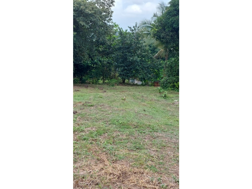 VENTA DE TERRENO EN EL VALLE DE CERRO AZUL cv - 5