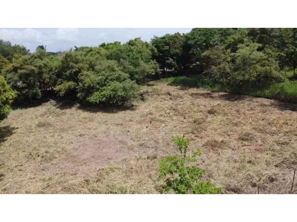 VENDO TERRENO EN CORONADO, VIA CLUB CAMPESTRE 3000mts — foto 6