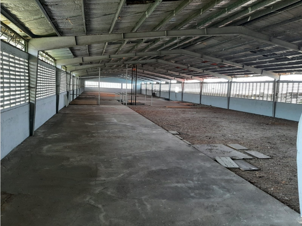 VENTA GALERA EN CALLE14 RIO ABAJO EV - 1