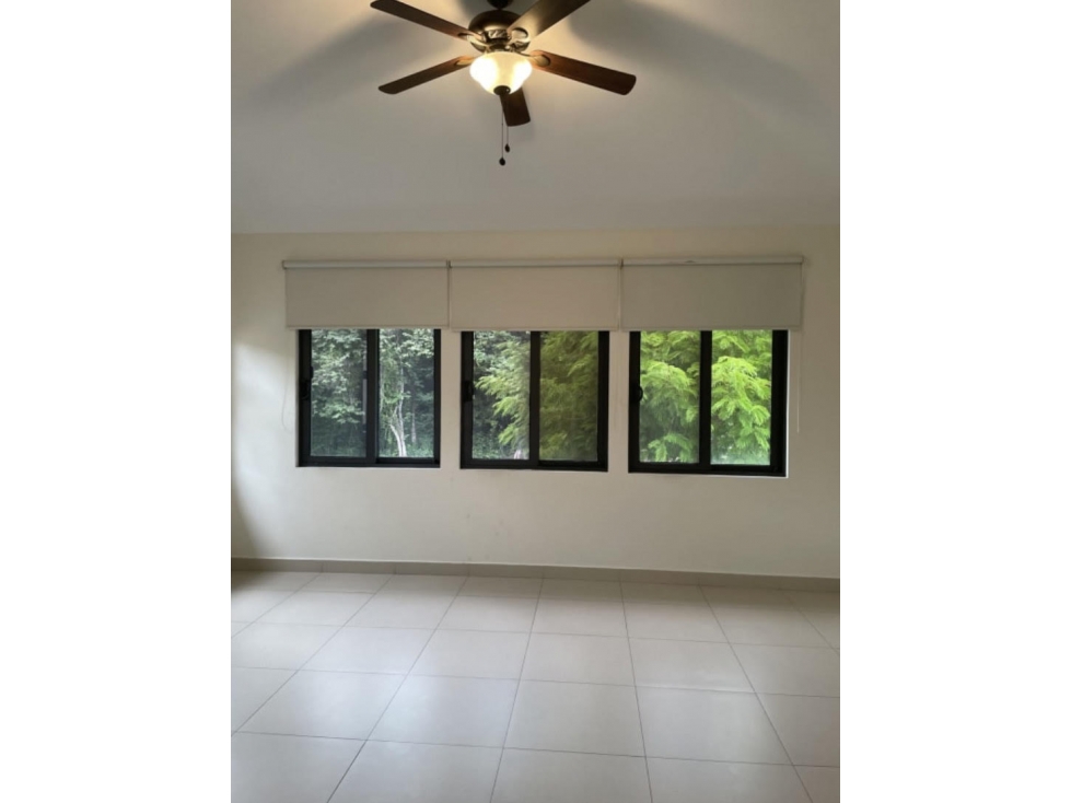 ALQUILER CASA EN ALQUILER EN RIVER VALLEY CON LINEA BLANCA — foto 6