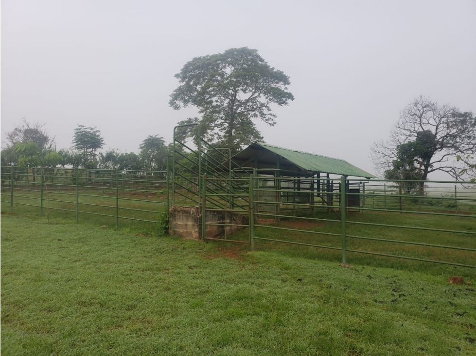 VENDO 1110 HECTAREAS EN VERAGUAS, OPORTUNIDAD ÚNICA - 6