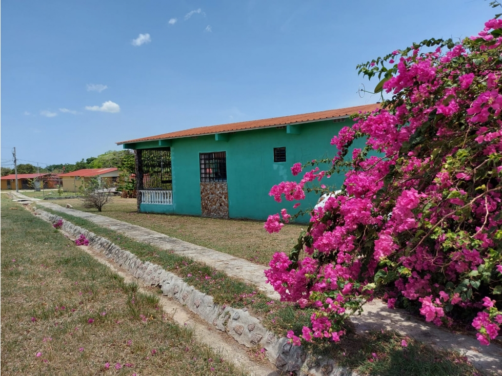 VENTA DE CASA EN ANTON - EL JUAGUITO CON MAS DE 500 MTS - 3