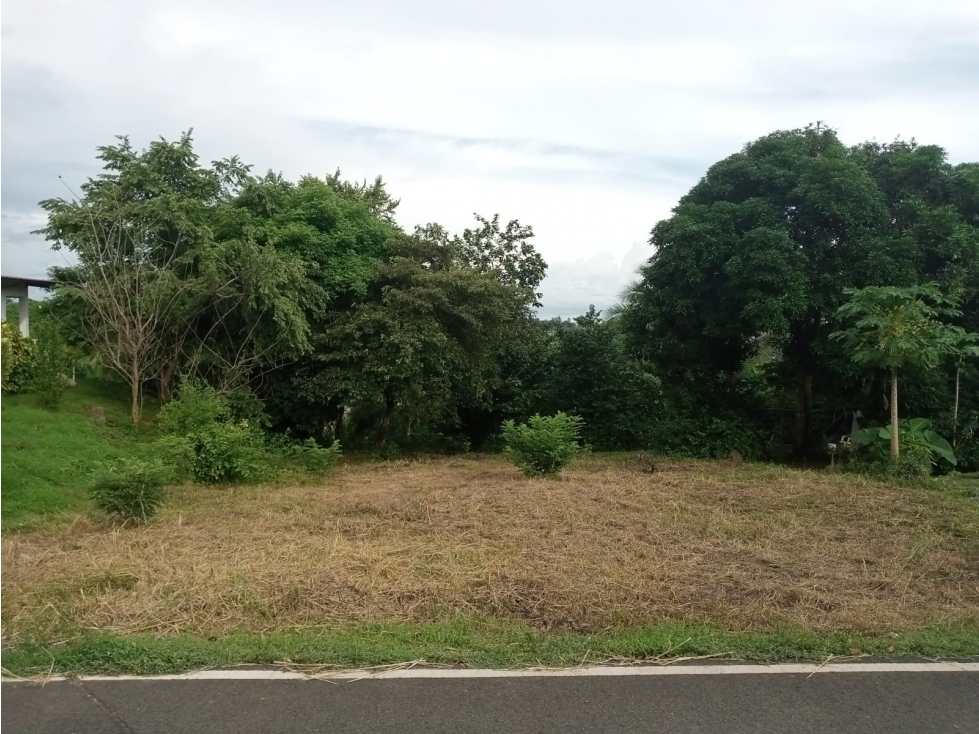 VENTA DE TERRENO EN EL VALLE DE CERRO AZUL cv - 6