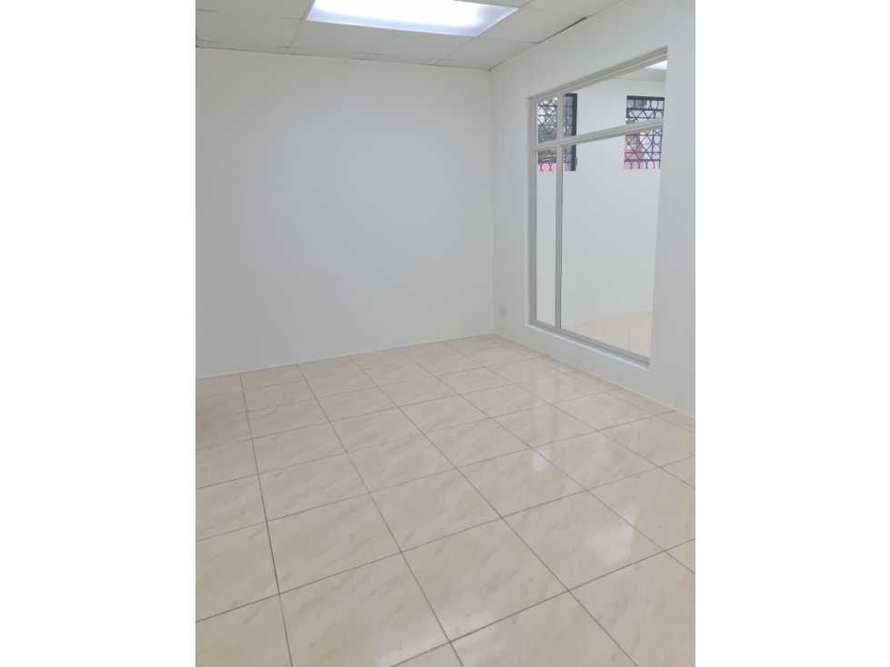 ALQUILER OFICINA CON BODEGA COMERCIAL VIA ESPAÑA cv - 4