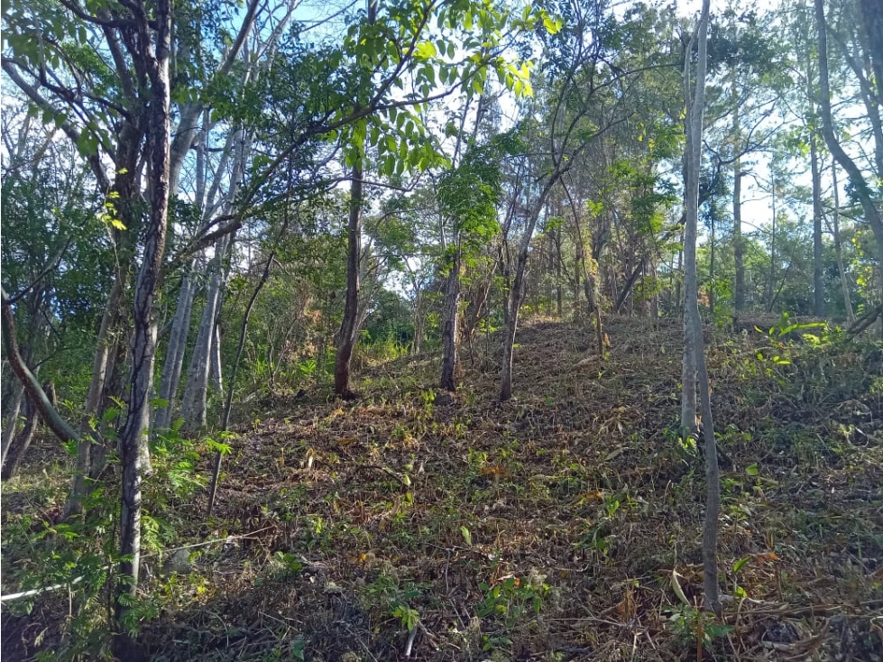 VENTA LOTE FONTANELLA EN ALTOS DEL MARIA REMATE DE 1850 M2 - 6