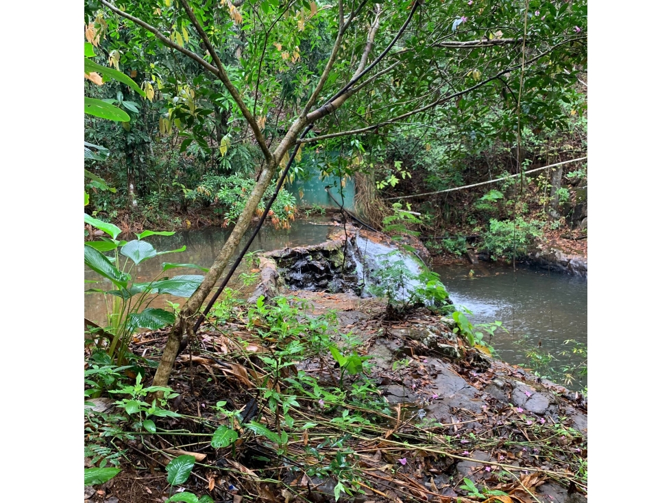 VENTA DE TERRENO DE 60 HECTARIAS EN VERAGUAS - 6