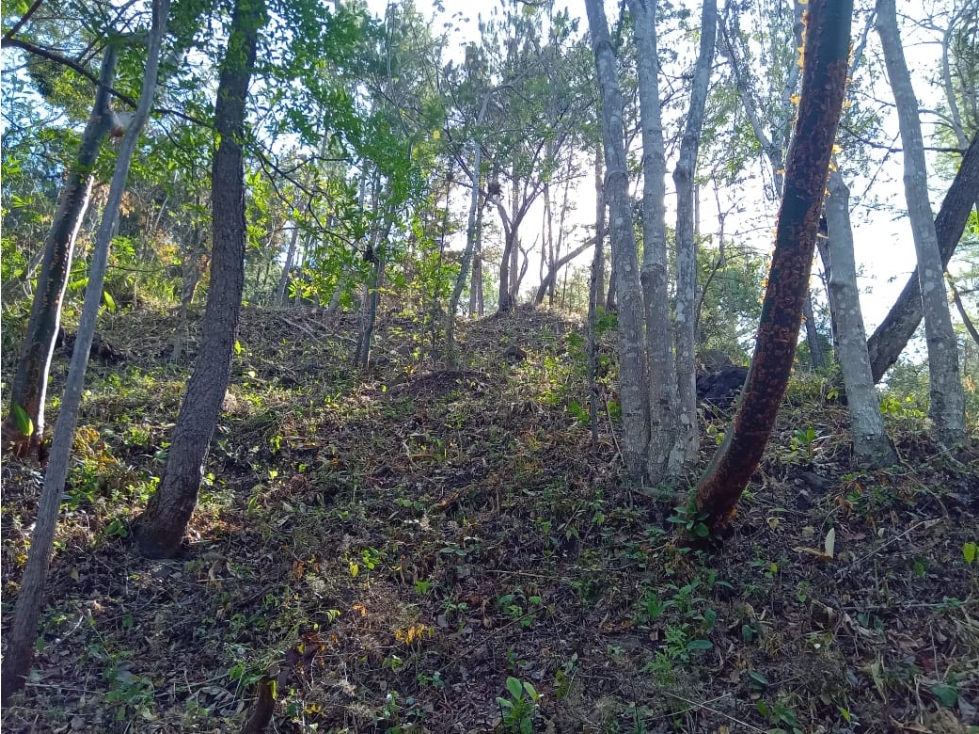 VENTA LOTE FONTANELLA EN ALTOS DEL MARIA REMATE DE 1850 M2 - 5
