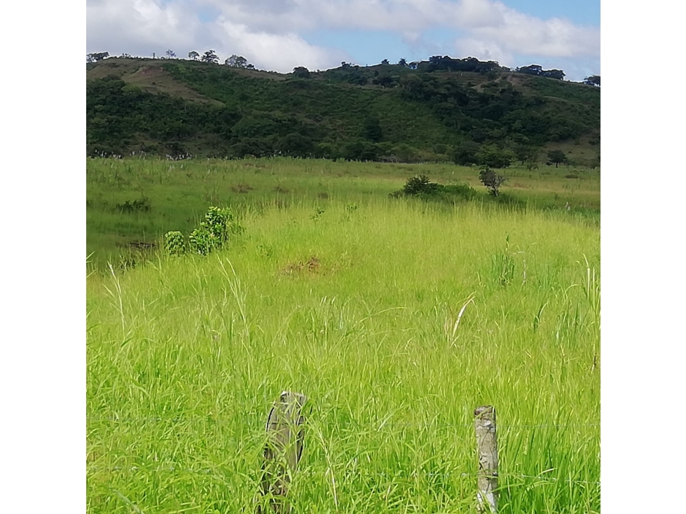 VENDO 1110 HECTAREAS EN VERAGUAS, OPORTUNIDAD ÚNICA - 2