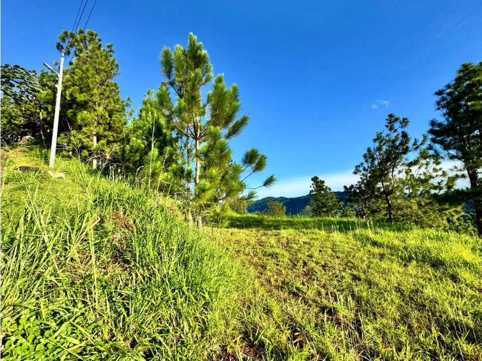 VENTA LOTE DE 2237 M2 EN SANTO DOMINGO, ALTOS DEL MARIA — foto 4