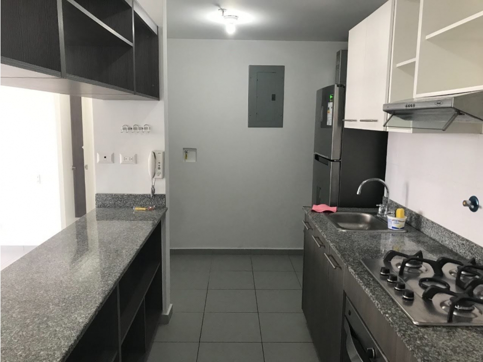APARTAMENTO ALQUILER O VENTA EL BOSQUE 2REC PH AVIÑON TOWERS — foto 6