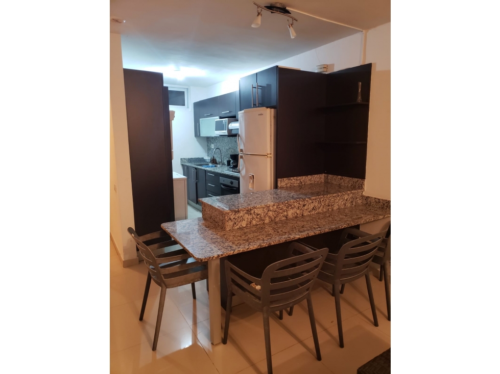 ALQUILER Y VENTA APARTAMENTO AMOBLADO 2 RECÁMARAS PH ALTAMIRA GARDEN — foto 3