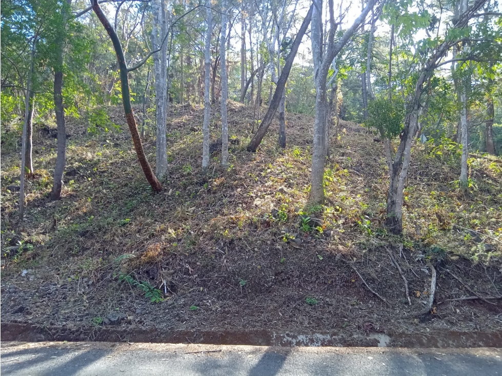 VENTA LOTE FONTANELLA EN ALTOS DEL MARIA REMATE DE 1850 M2 - 4