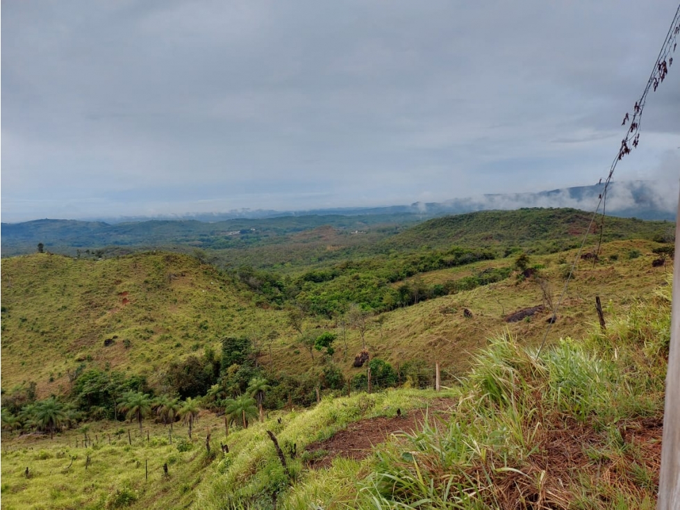 VENTA DE TERRENO DE 60 HECTARIAS EN VERAGUAS - 1