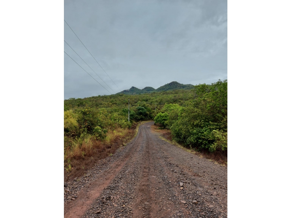 VENTA DE TERRENO DE 60 HECTARIAS EN VERAGUAS - 3