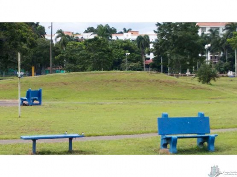 APARTAMENTO CON VISTA AL PARQUE, CLAYTON TOWER LINEA BLANCA — foto 6