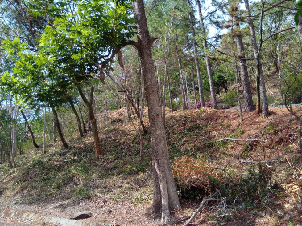 VENTA LOTE FONTANELLA EN ALTOS DEL MARIA REMATE DE 1850 M2 - 2