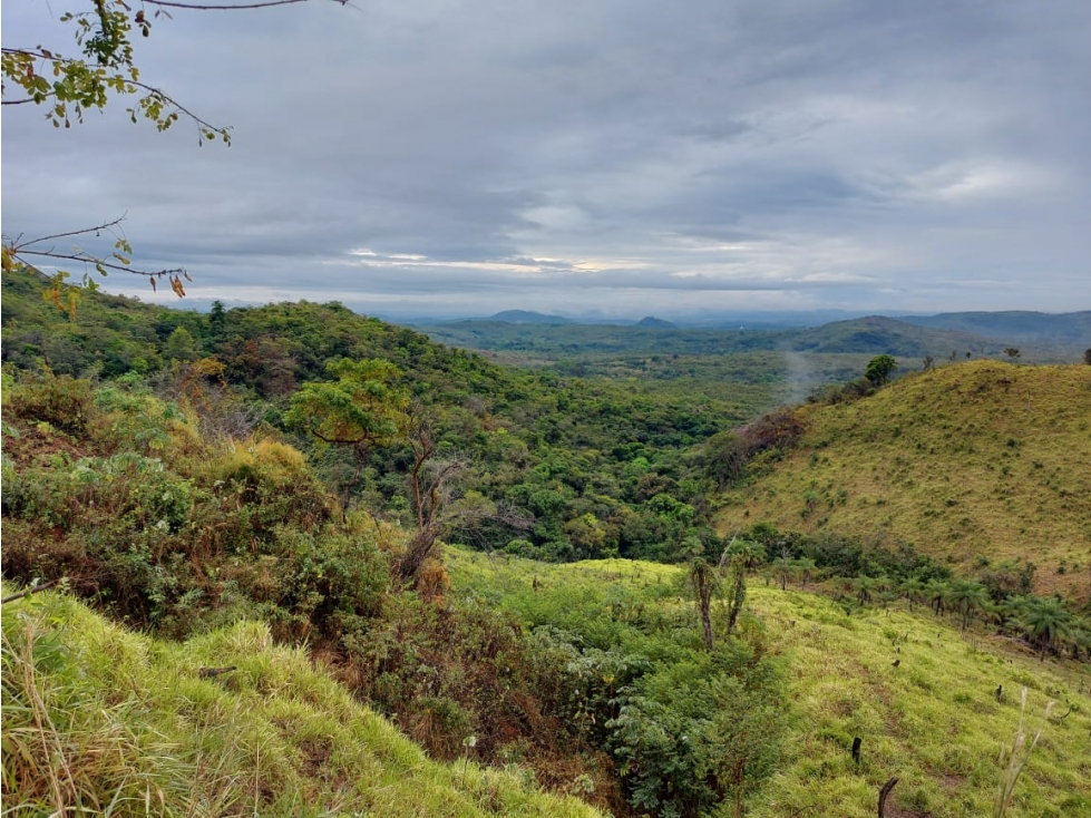 VENTA DE TERRENO DE 60 HECTARIAS EN VERAGUAS - 4