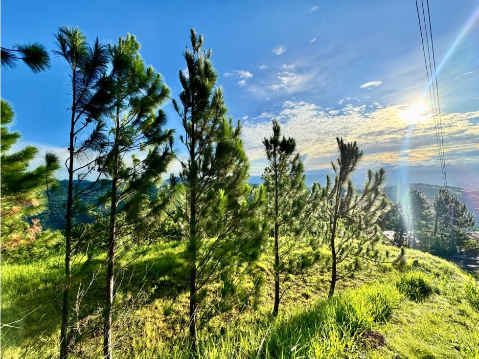 VENTA LOTE DE 2237 M2 EN SANTO DOMINGO, ALTOS DEL MARIA — foto 6