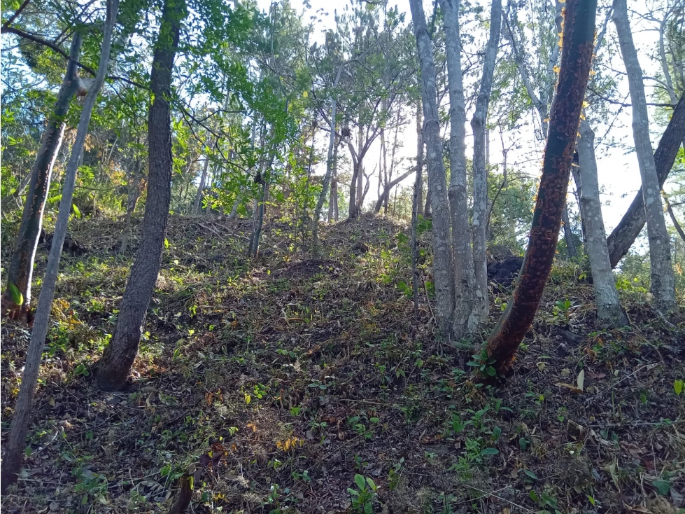 VENTA LOTE FONTANELLA EN ALTOS DEL MARIA REMATE DE 1850 M2 - 3